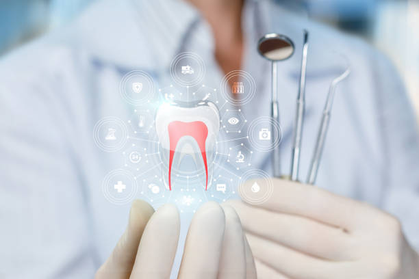 Professional Dental Services in Rogers, TX